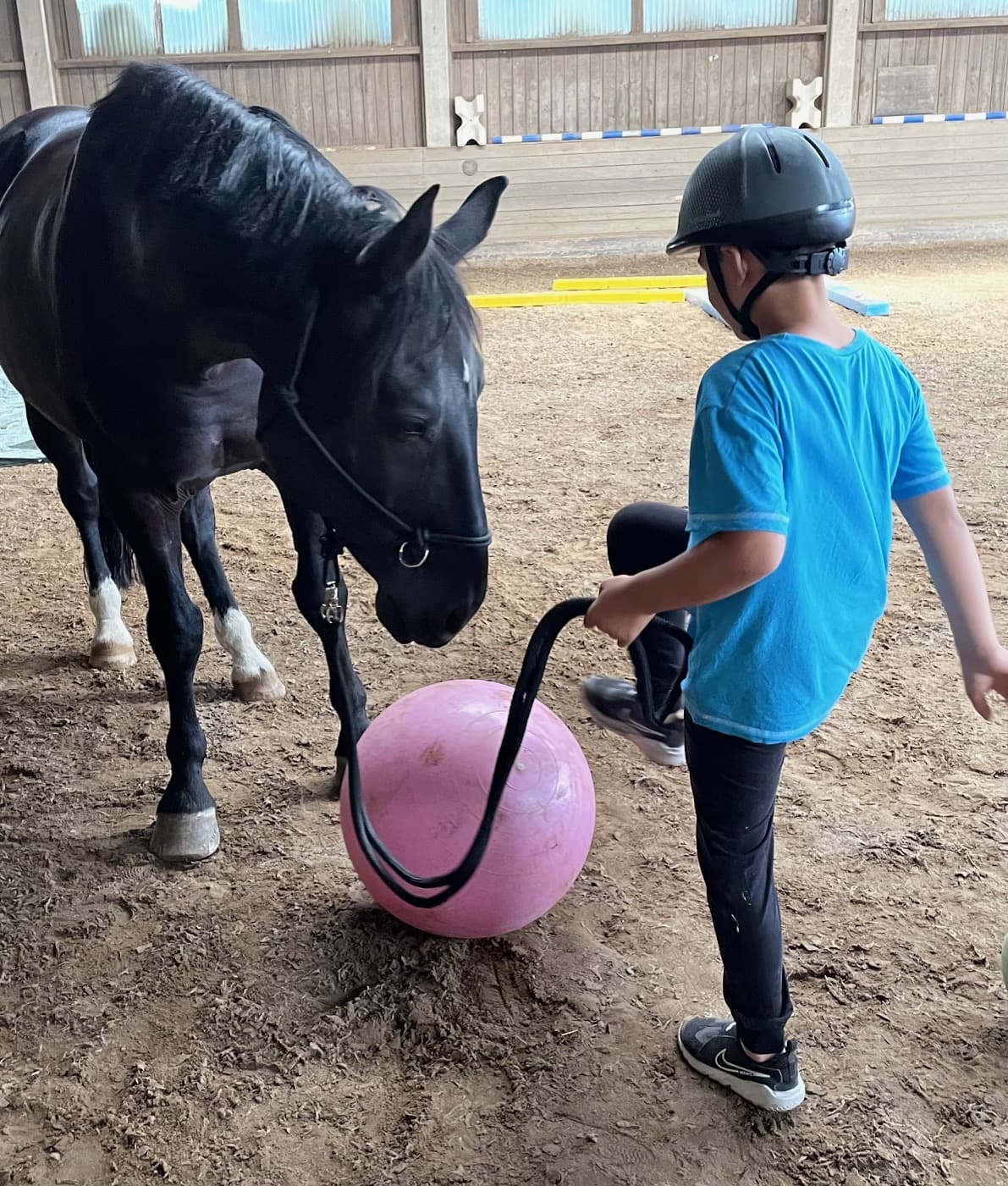 heilpaedagogisches reiten-muenchen