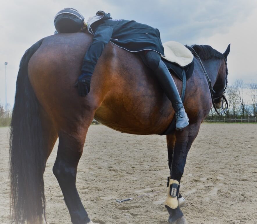 reittherapie-muenchen-entspannungsuebung