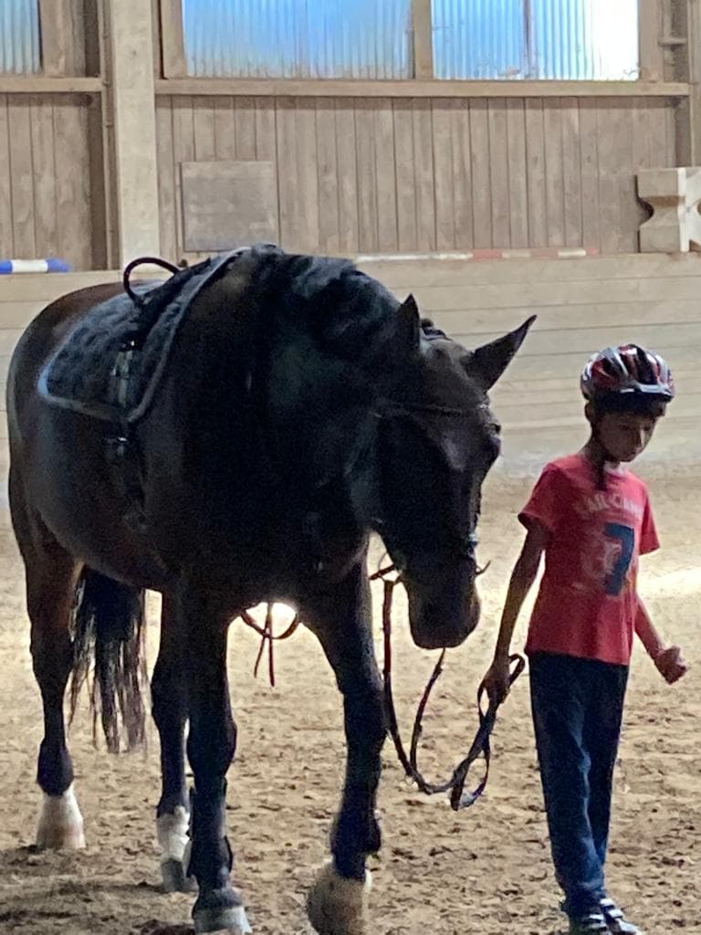 reittherapie-muenchen-kinder