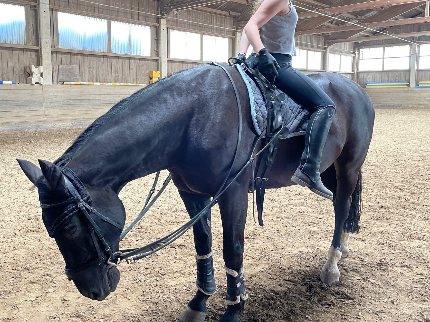 reittherapie-vaterstetten